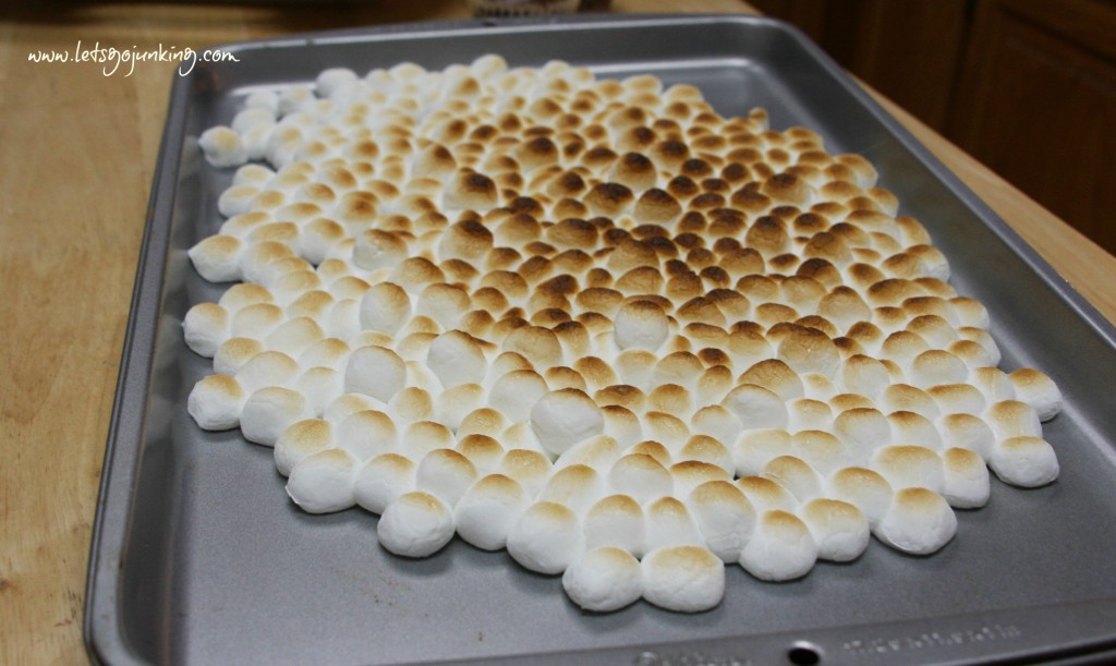 roasted marshmellow wm