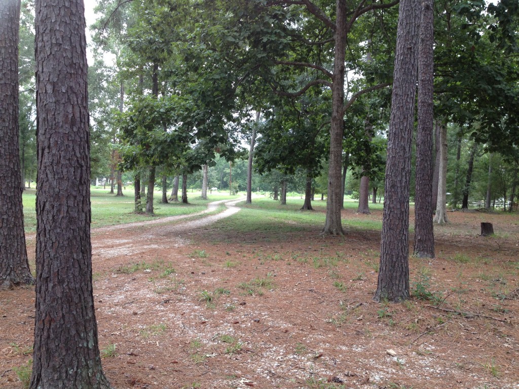 view from porch